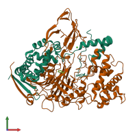 PDB entry 1k5q coloured by chain, front view.