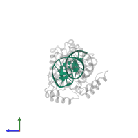 5'-D(*AP*CP*AP*TP*GP*TP*AP*AP*TP*TP*CP*AP*TP*TP*TP*AP*CP*AP*CP*GP*C)-3' in PDB entry 1k61, assembly 1, side view.