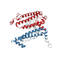 The deposited structure of PDB entry 1k6n contains 2 copies of CATH domain 1.20.85.10 (Photosynthetic Reaction Center, subunit M; domain 1) in Reaction center protein L chain. Showing 2 copies in chain A [auth L].
