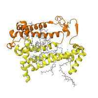 The deposited structure of PDB entry 1k6n contains 2 copies of CATH domain 1.20.85.10 (Photosynthetic Reaction Center, subunit M; domain 1) in Reaction center protein M chain. Showing 2 copies in chain B [auth M].