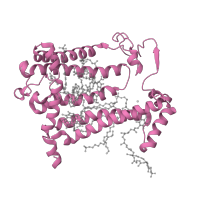 The deposited structure of PDB entry 1k6n contains 1 copy of SCOP domain 81482 (Bacterial photosystem II reaction centre, L and M subunits) in Reaction center protein M chain. Showing 1 copy in chain B [auth M].