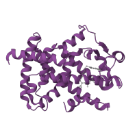 The deposited structure of PDB entry 1k74 contains 1 copy of CATH domain 1.10.565.10 (Retinoid X Receptor) in Peroxisome proliferator-activated receptor gamma. Showing 1 copy in chain B [auth D].