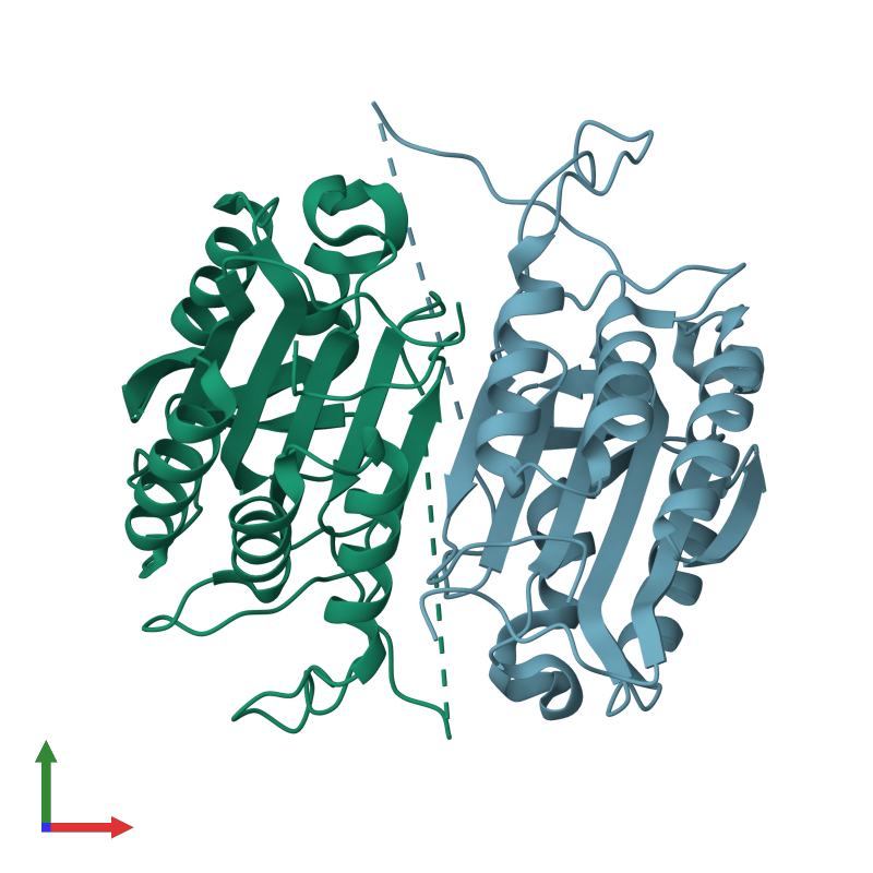 <div class='caption-body'><ul class ='image_legend_ul'>The deposited structure of PDB entry 1k86 coloured by chain and viewed from the front. The entry contains: <li class ='image_legend_li'>2 copies of caspase-7</li><li class ='image_legend_li'>[]</li></ul></li></ul></li></div>