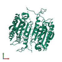 Caspase-7 subunit p20 in PDB entry 1k86, assembly 1, front view.