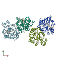 PDB entry 1k8c coloured by chain, front view.