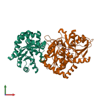 PDB entry 1k8y coloured by chain, front view.