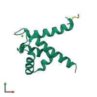 PDB entry 1k96 coloured by chain, front view.