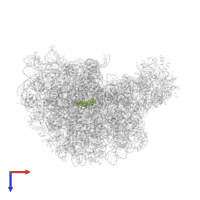 TYLOSIN in PDB entry 1k9m, assembly 1, top view.