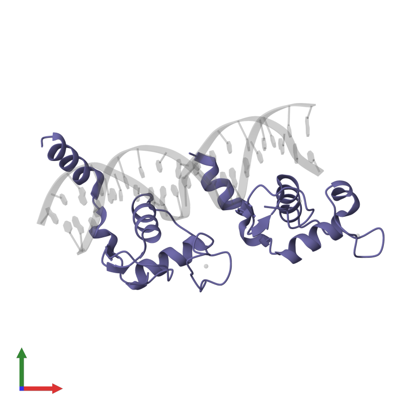 <div class='caption-body'>PDB entry 1kb2 contains 2 copies of Vitamin D3 Receptor in assembly 1. This protein is highlighted and viewed from the front.</div>