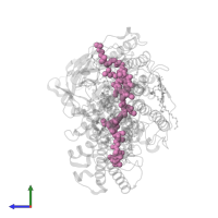 BACTERIOPHEOPHYTIN A in PDB entry 1kby, assembly 1, side view.