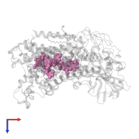 BACTERIOPHEOPHYTIN A in PDB entry 1kby, assembly 1, top view.
