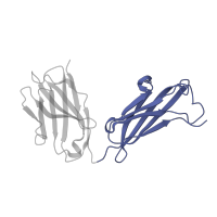 The deposited structure of PDB entry 1kcr contains 1 copy of SCOP domain 48942 (C1 set domains (antibody constant domain-like)) in Ig gamma-1 chain C region, membrane-bound form. Showing 1 copy in chain B [auth H].