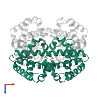 Hemoglobin subunit alpha in PDB entry 1kd2, assembly 1, top view.