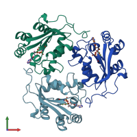 PDB entry 1kdn coloured by chain, front view.