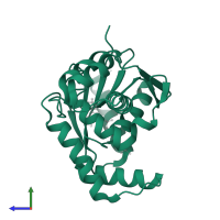 Cytidylate kinase in PDB entry 1kdo, assembly 2, side view.