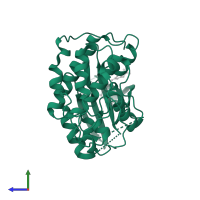 Cyclin-dependent kinase 2 in PDB entry 1ke7, assembly 1, side view.