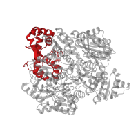 The deposited structure of PDB entry 1kee contains 4 copies of CATH domain 1.10.1030.10 (Carbamoyl Phosphate Synthetase; Chain A, domain 4) in Carbamoyl-phosphate synthase large chain. Showing 1 copy in chain A.