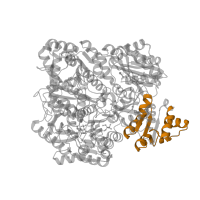 The deposited structure of PDB entry 1kee contains 4 copies of Pfam domain PF02142 (MGS-like domain) in Carbamoyl-phosphate synthase large chain. Showing 1 copy in chain A.
