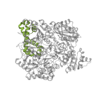 The deposited structure of PDB entry 1kee contains 4 copies of Pfam domain PF02787 (Carbamoyl-phosphate synthetase large chain, oligomerisation domain) in Carbamoyl-phosphate synthase large chain. Showing 1 copy in chain A.