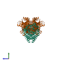 Hetero tetrameric assembly 1 of PDB entry 1kfe coloured by chemically distinct molecules, side view.