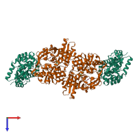 Hetero tetrameric assembly 1 of PDB entry 1kfe coloured by chemically distinct molecules, top view.