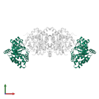 Tryptophan synthase alpha chain in PDB entry 1kfe, assembly 1, front view.