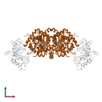 Tryptophan synthase beta chain in PDB entry 1kfe, assembly 1, front view.
