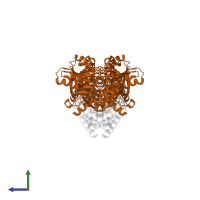 Tryptophan synthase beta chain in PDB entry 1kfe, assembly 1, side view.
