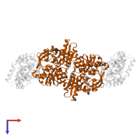 Tryptophan synthase beta chain in PDB entry 1kfe, assembly 1, top view.
