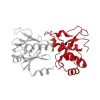 The deposited structure of PDB entry 1kfv contains 2 copies of CATH domain 1.10.8.50 (Helicase, Ruva Protein; domain 3) in Formamidopyrimidine-DNA glycosylase. Showing 1 copy in chain E [auth A].