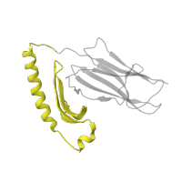 The deposited structure of PDB entry 1kg0 contains 1 copy of SCOP domain 54453 (MHC antigen-recognition domain) in HLA class II histocompatibility antigen, DR alpha chain. Showing 1 copy in chain A.