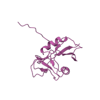 The deposited structure of PDB entry 1kg0 contains 1 copy of CATH domain 3.10.100.10 (Mannose-Binding Protein A; Chain A) in Soluble gp42. Showing 1 copy in chain D [auth C].