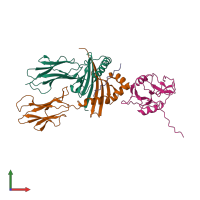 PDB entry 1kg0 coloured by chain, front view.