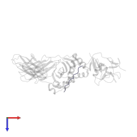 Hemagglutinin HA1 chain in PDB entry 1kg0, assembly 1, top view.