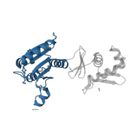 The deposited structure of PDB entry 1kgs contains 1 copy of CATH domain 3.40.50.2300 (Rossmann fold) in Response regulator. Showing 1 copy in chain A.