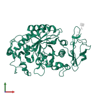 Pancreatic alpha-amylase in PDB entry 1kgw, assembly 1, front view.