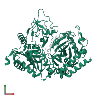 Phosphoenolpyruvate carboxykinase, cytosolic [GTP] in PDB entry 1khb, assembly 1, front view.