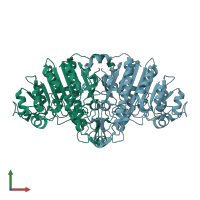 PDB entry 1khk coloured by chain, front view.