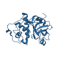 The deposited structure of PDB entry 1khp contains 1 copy of Pfam domain PF00112 (Papain family cysteine protease) in Papain. Showing 1 copy in chain A.