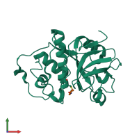 PDB entry 1khp coloured by chain, front view.