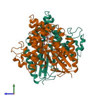 PDB entry 1ki6 coloured by chain, side view.