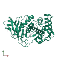Thermolysin in PDB entry 1kjp, assembly 1, front view.
