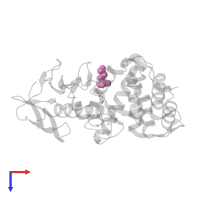 GLUTAMIC ACID in PDB entry 1kjp, assembly 1, top view.