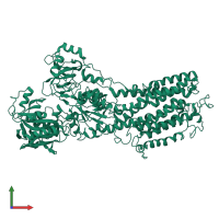PDB entry 1kju coloured by chain, front view.