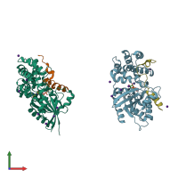 PDB entry 1kjy coloured by chain, front view.