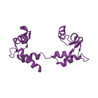 The deposited structure of PDB entry 1kk8 contains 1 copy of SCOP domain 47502 (Calmodulin-like) in Myosin regulatory light chain, striated adductor muscle. Showing 1 copy in chain B.