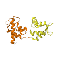The deposited structure of PDB entry 1kk8 contains 2 copies of CATH domain 1.10.238.10 (Recoverin; domain 1) in Myosin essential light chain, striated adductor muscle. Showing 2 copies in chain C.