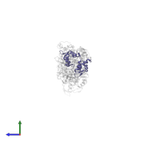 Myosin essential light chain, striated adductor muscle in PDB entry 1kk8, assembly 1, side view.