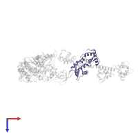 Myosin essential light chain, striated adductor muscle in PDB entry 1kk8, assembly 1, top view.