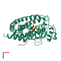 Hetero dimeric assembly 4 of PDB entry 1kkq coloured by chemically distinct molecules, top view.